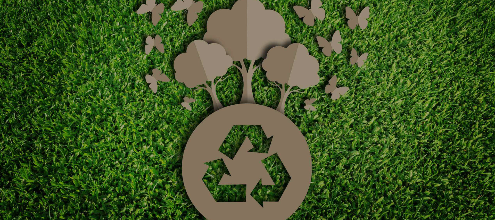 International Air freight